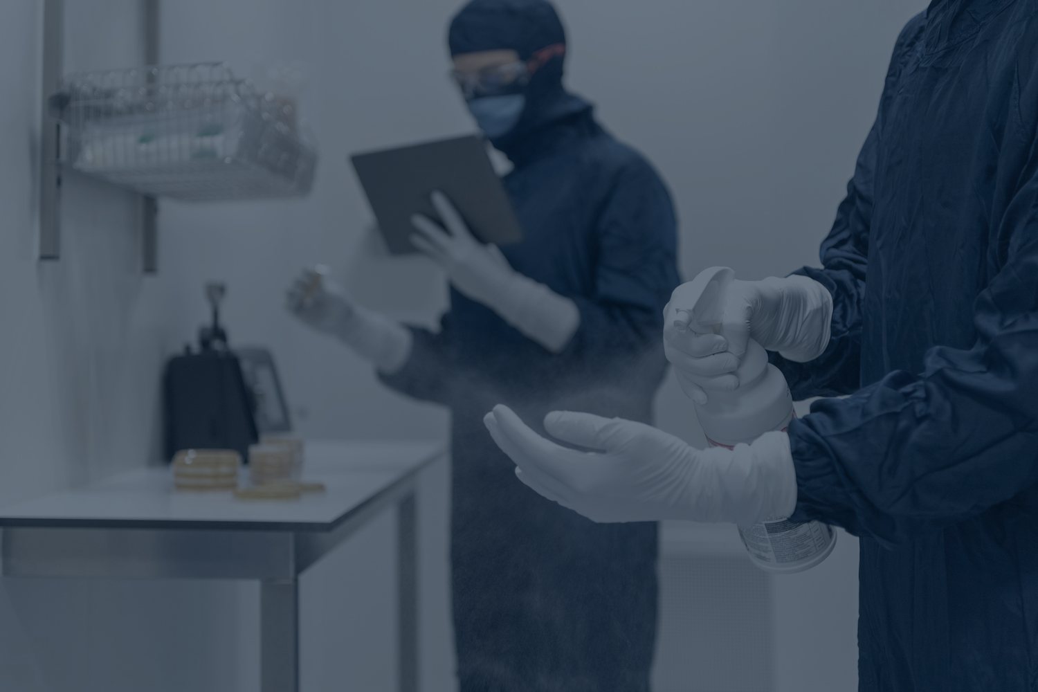 Quality inspection in a cleanroom